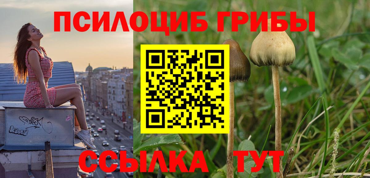 Галлюциногенные грибы мицелий Мичуринск