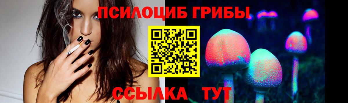 купить наркотик  Галлюциногенные грибы ЛСД  Вход с VPN  Мичуринск 